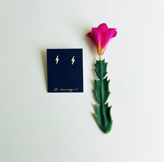 simple petite gold fill lighting bold stud earrings against blue packaging and next to a cactus flower