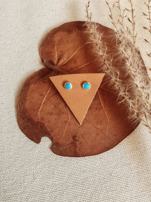 December Collection Turquoise Earrings